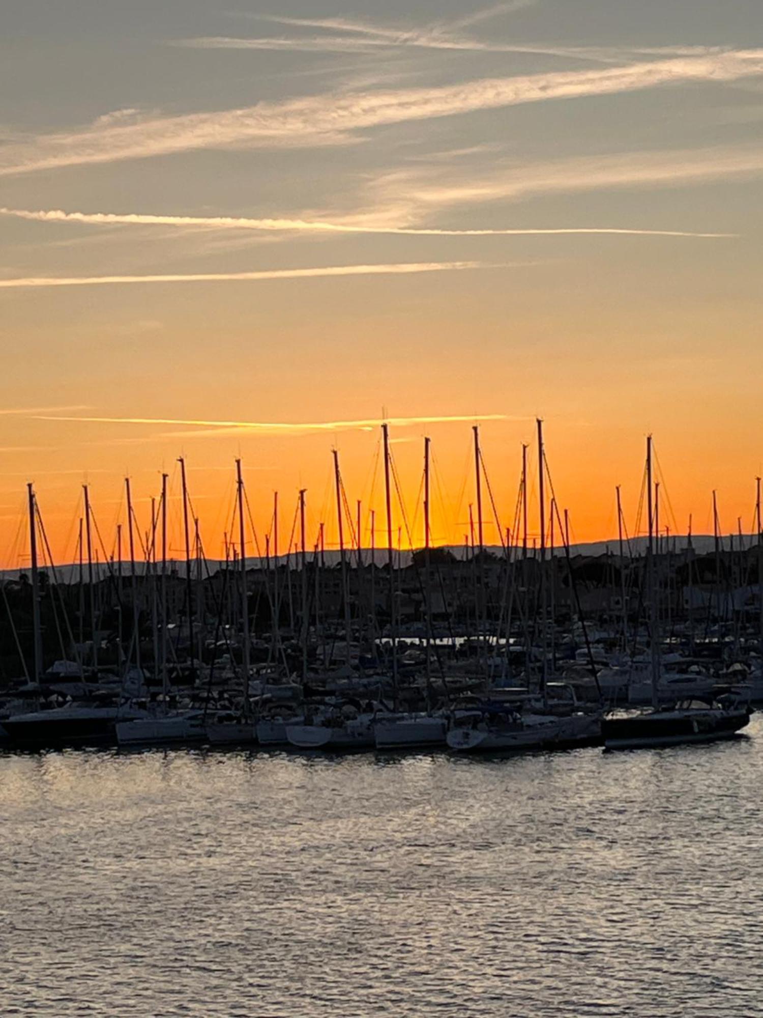 Studio Prestige Avec Terrasse, Ile Des Pecheurs, Vue Port Agde Esterno foto